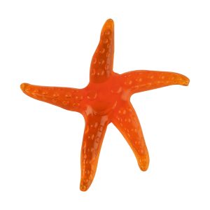 Fun Sticky - Estrela do Mar - ZP01253